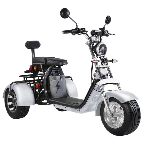 citycoco 3 wheel electric scooter Rooder r804t8 US stock