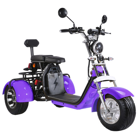 citycoco 3 wheel electric scooter Rooder r804t8 US stock