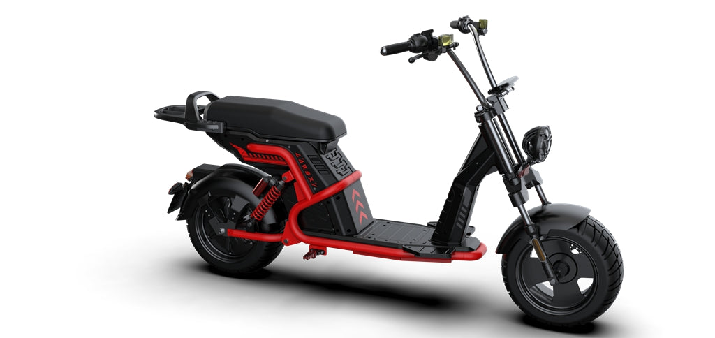 rooder citycoco electric scooter Larsky 2000w