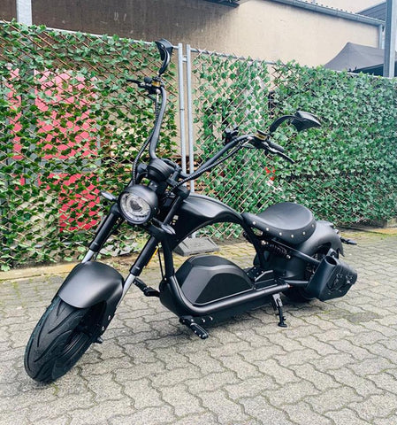 foot pegs for Rooder Mangosteen Citycoco chopper elektro roller scooter m1p m1