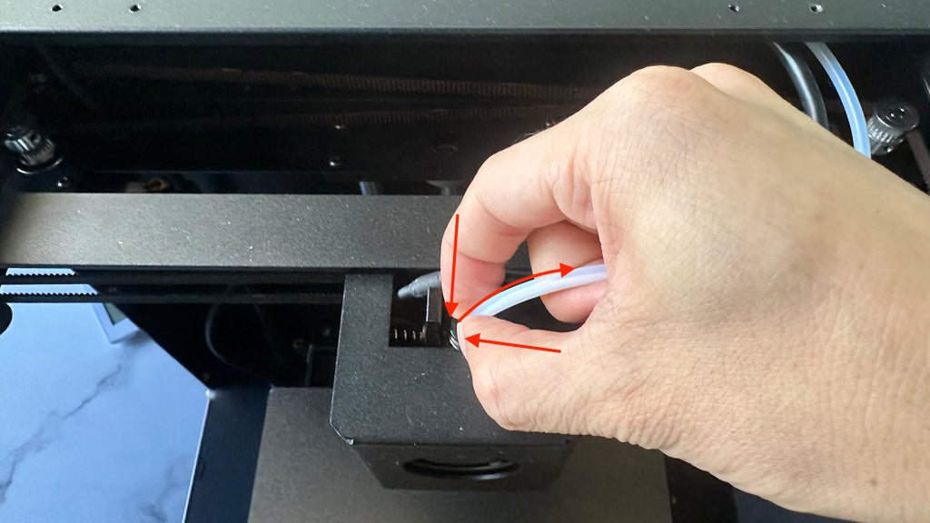 P8. KLP1 Filament Out