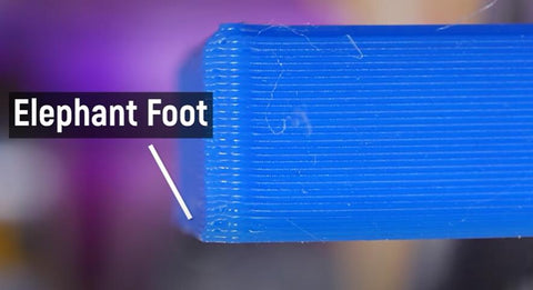 3D print Elephant Foot