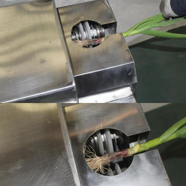 切根机大蒜切根机