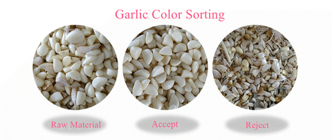 Garlic color sorting Machine