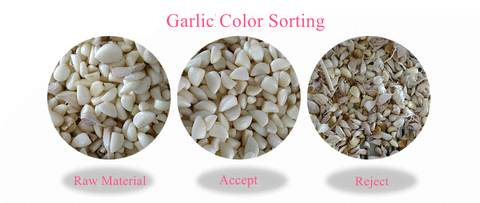 Garlic Color Sorter