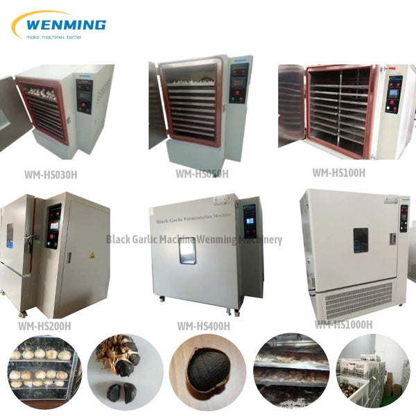Black-garlic-making-machine-zhenghou-wenming-machinery