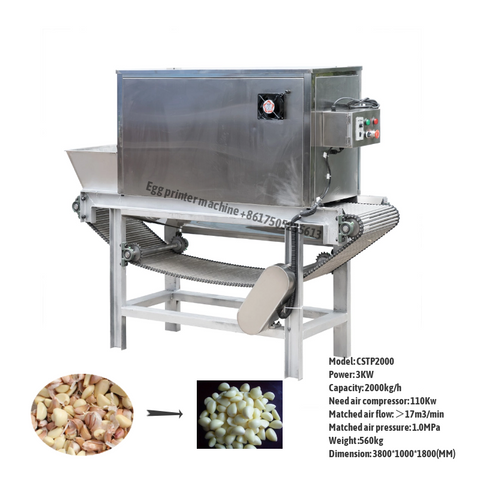 Chain-type-Garlic-Peeler-Machine