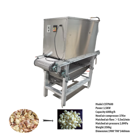 Chain-type-Garlic-Peeling-Machine