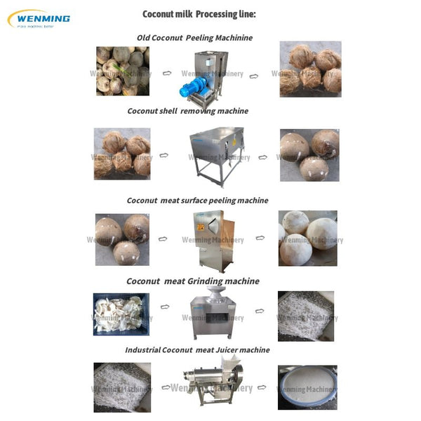 Coconut-milk-extractor-machine