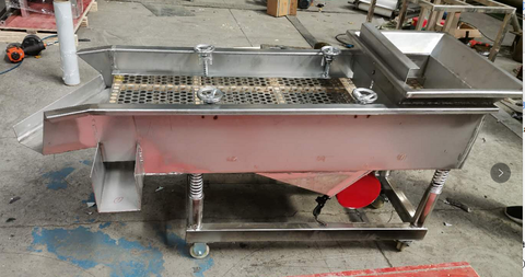 Garlic-clove-grading-machine-in-garlic-peeling-line (2)