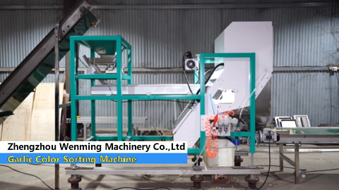 Garlic Color Sorter