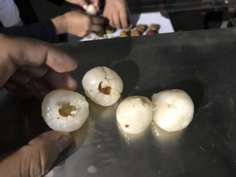 Lychee Pitting Machine