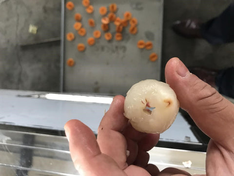 Lychee Pitting Machine