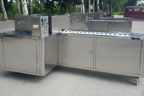 Lychee Pitting Machine