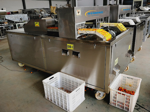 Lychee Pitting Machine
