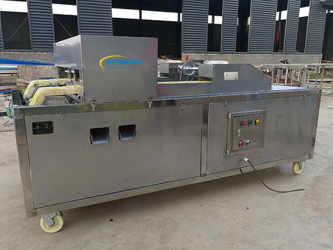 Litchi Seed Removing Machine