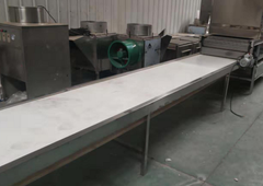 Picking-table-in-garlic-peeling-line (2)