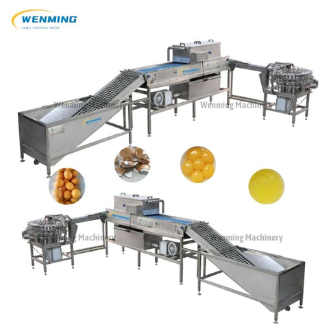automatic-egg-processing-line