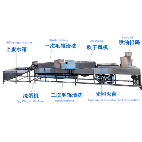 automatic-egg washing-line flow