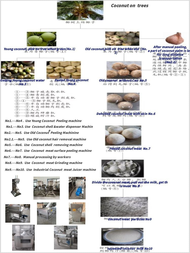 Coconut Machine-Coconut Processing Machines