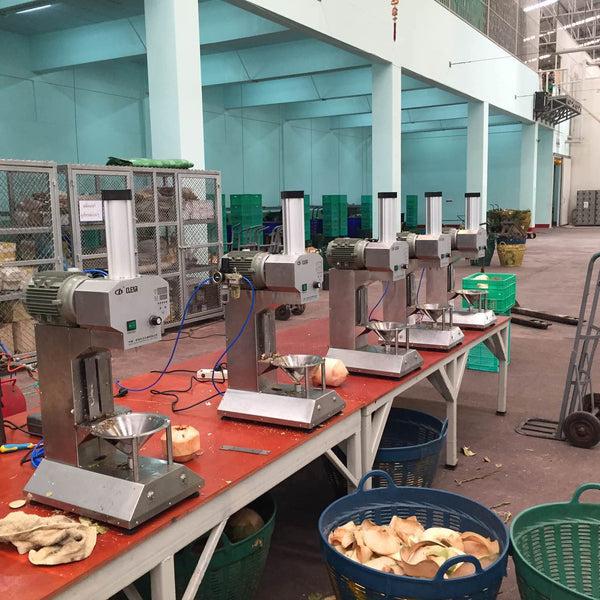 Electric Coconut Scraper