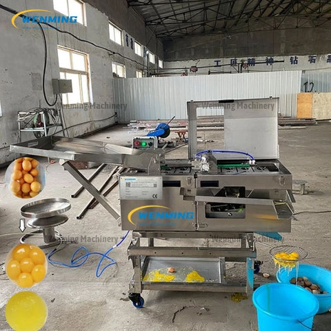 Egg Breaker Yolk Separator