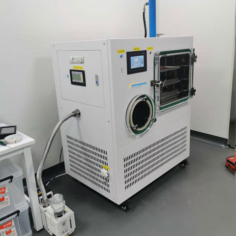 Chinese Cheap Freeze Dryer Machine Hot sale – WM machinery