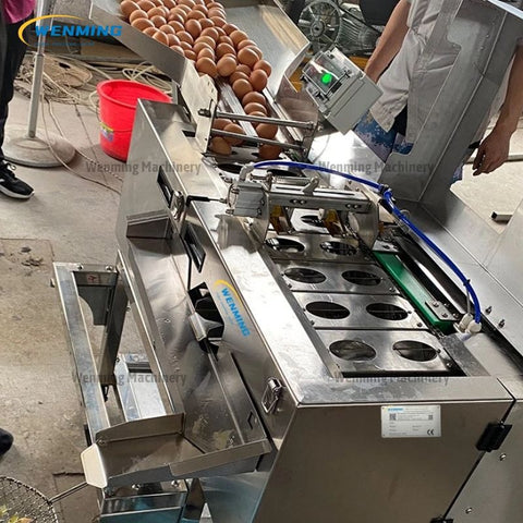 Egg Breaker Yolk Separator