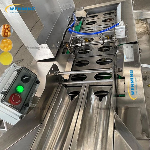 Egg Breaker Yolk Separator