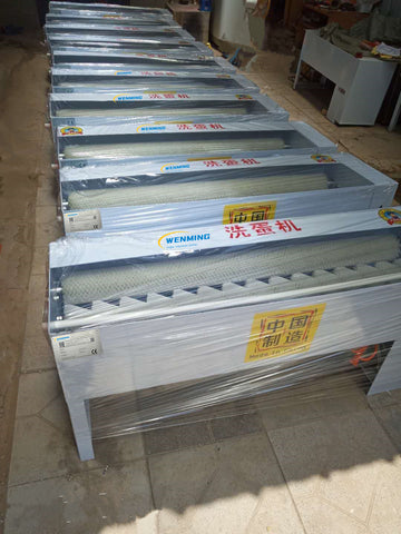 Small Scale Egg Washing Machine