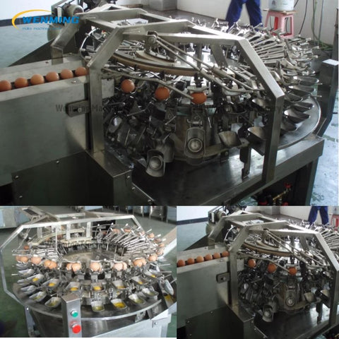 egg-processing-line-egg-separating-machine