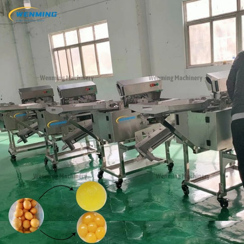 Egg Breaker Yolk Separator