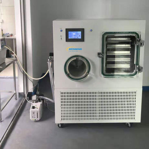Freeze Drying Process Machine