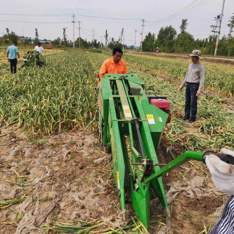 大蒜收割机