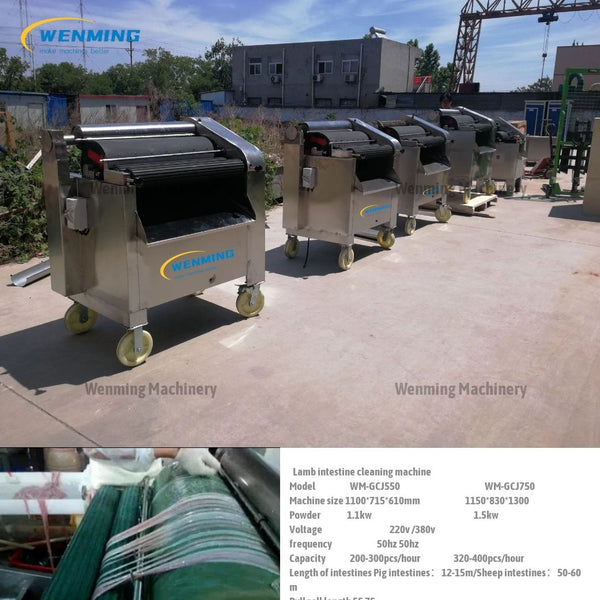 intestinal scraper cleaning machine