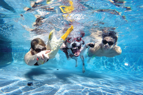 swim to prevent varicose veins