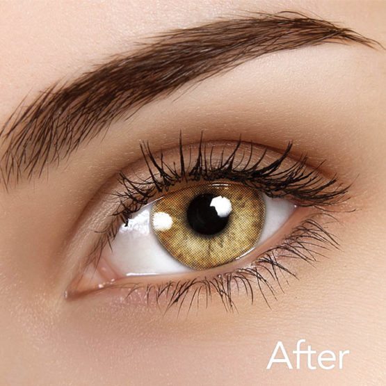 ISODA Hydrocor Brown Contacts
