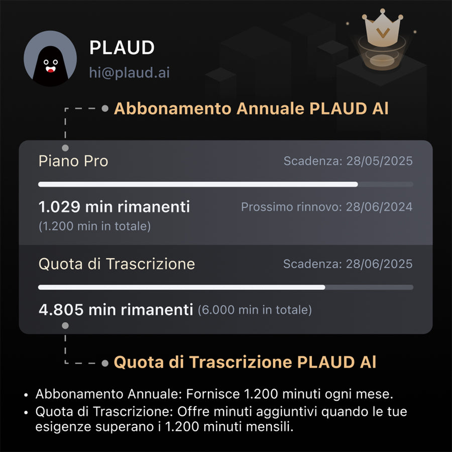 Quota di trascrizione PLAUD AI
