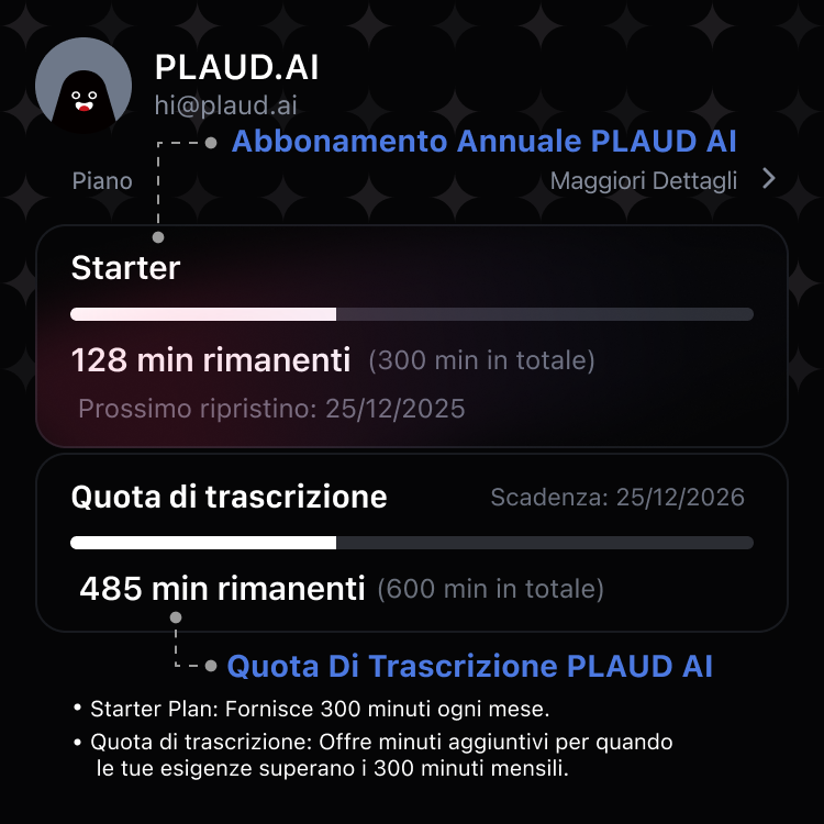 Quota di trascrizione PLAUD AI