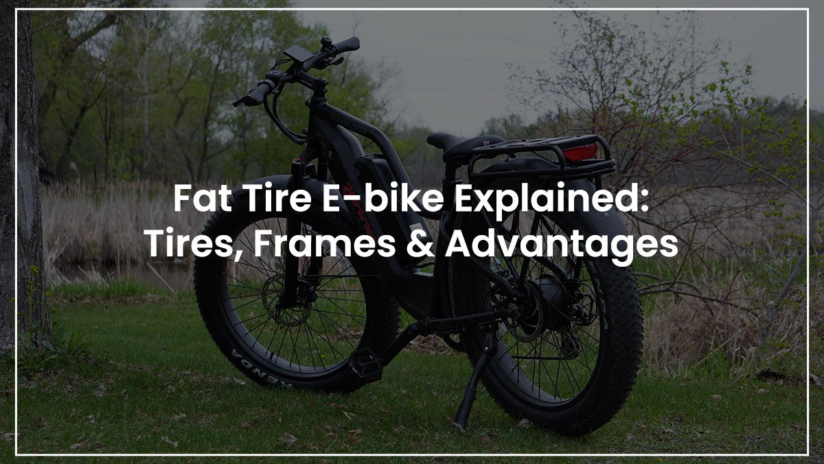 FAt Tire Electric Bike