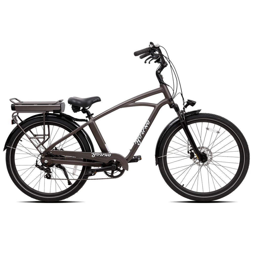 Best Beach Cruiser Electric Bikes 2022 Young Electric best-beach-cruiser-electric-bikes-2022-young-electric