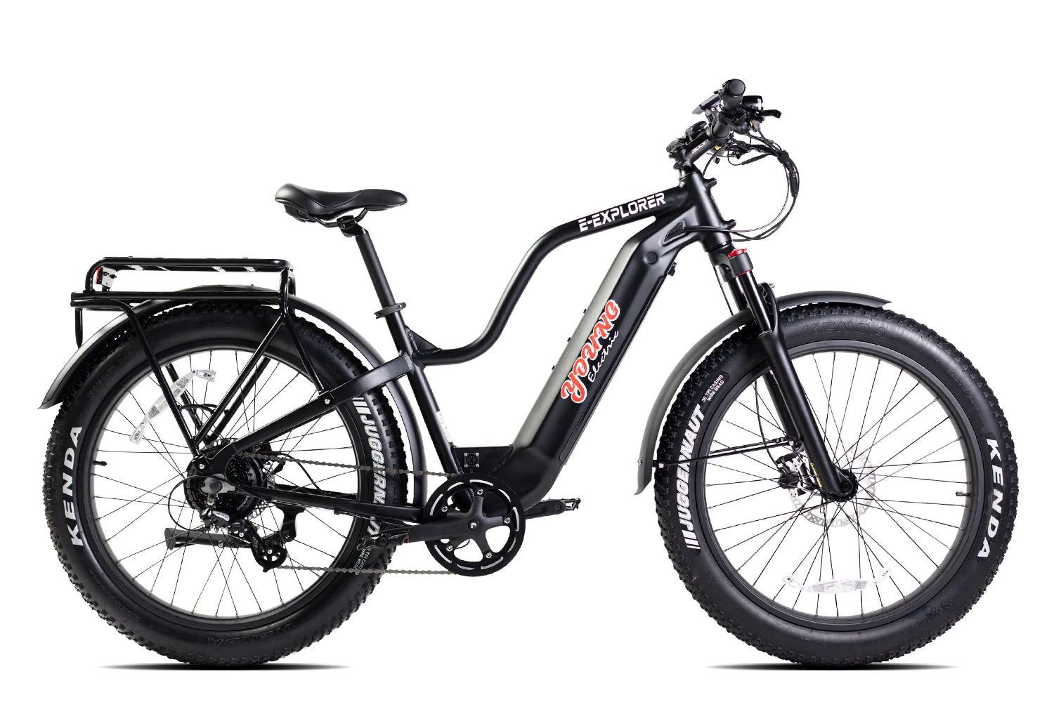 fat tire ebike