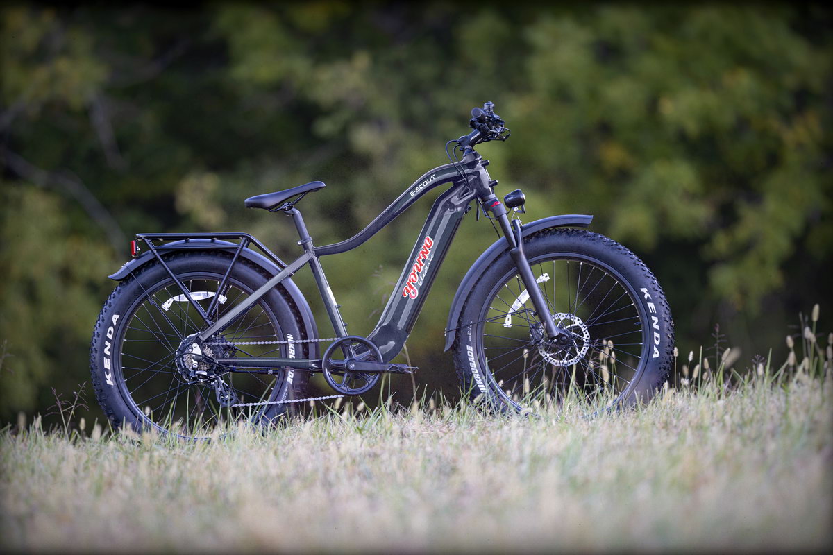 long range ebike