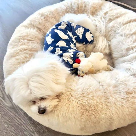 Maltese Dog Clothes - Dog Pajamas - Fitwarm