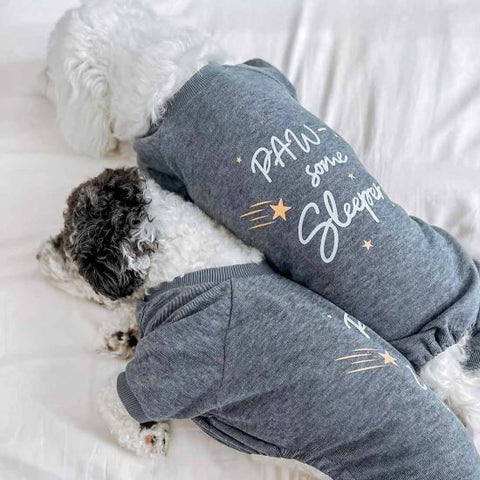 Dog Sleeping Positions Uncovered: Gaining Insight into Your Pet's Rest Patterns - Fitwarm