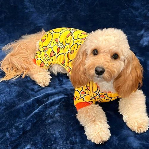 Cavapoo Dog Clothes - Dog Pajamas - Fitwarm