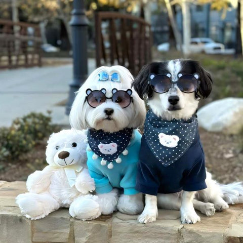 Dog Fleece Sweater - Dog Sweaters - Fitwarm