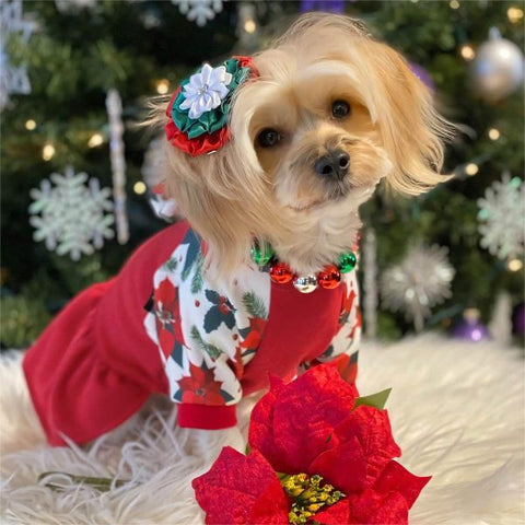 Floral Christmas Dog Hooded Dress