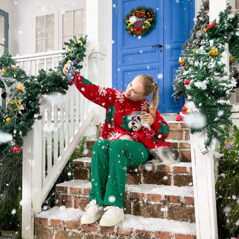 Christmas Reindeer Color Block Sweater