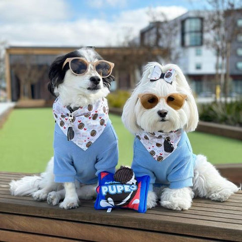 Dog Fleece Sweater - Dog Sweaters - Fitwarm